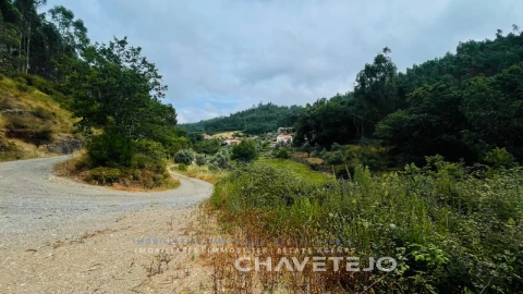 Quinta para Venda em Figueiró dos Vinhos e Bairradas