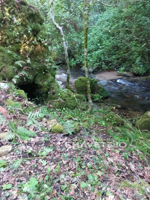 Quinta para Venda em Figueiró dos Vinhos e Bairradas