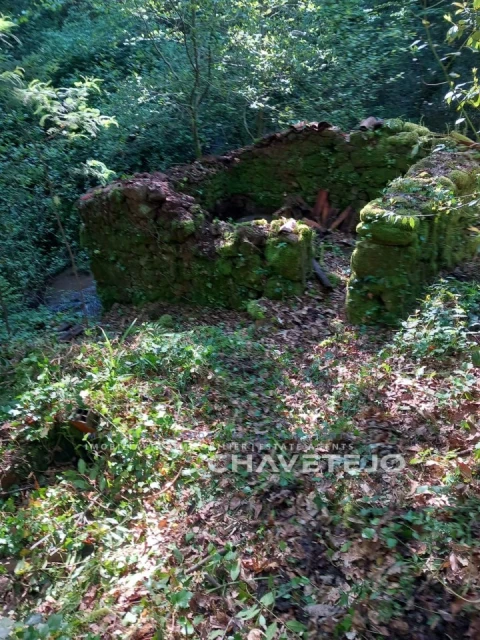 Quinta para Venda em Figueiró dos Vinhos e Bairradas
