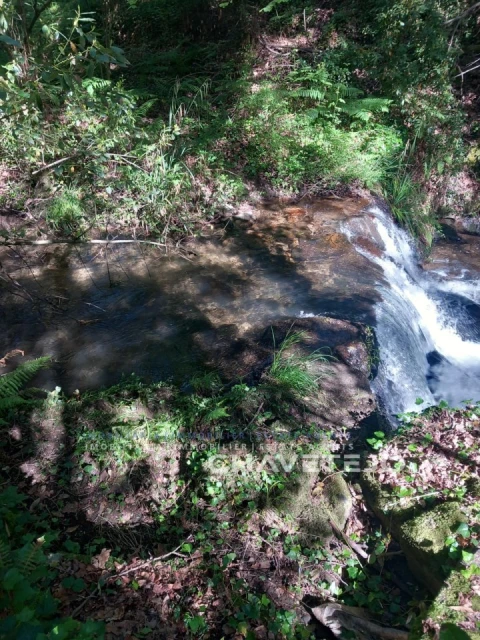 Quinta para Venda em Figueiró dos Vinhos e Bairradas