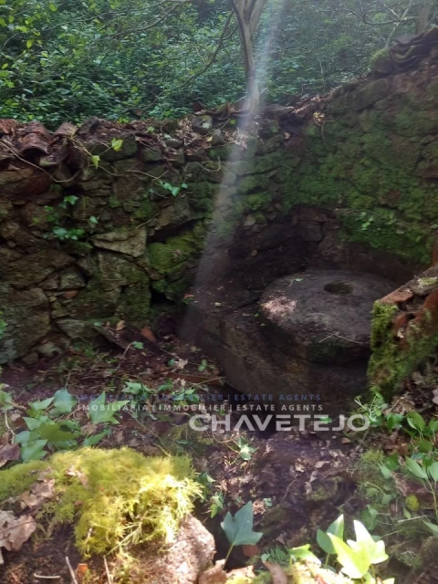 Quinta para Venda em Figueiró dos Vinhos e Bairradas