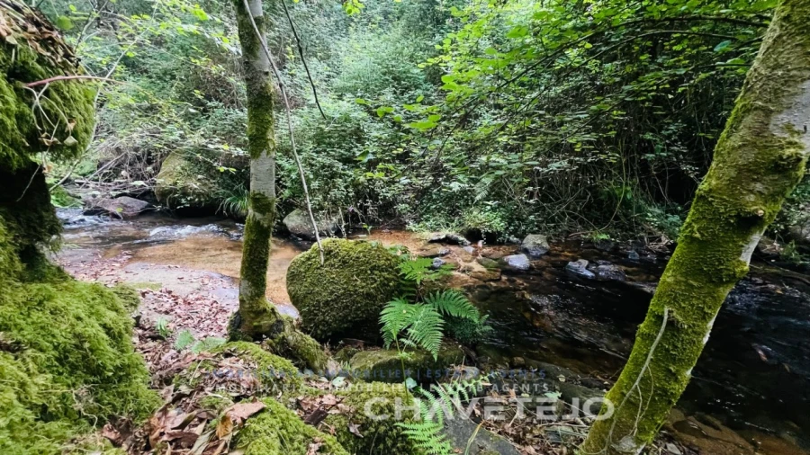 Quinta para Venda em Figueiró dos Vinhos e Bairradas Foto 6