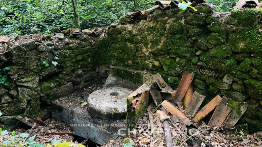 Quinta para Venda em Figueiró dos Vinhos e Bairradas Foto 7