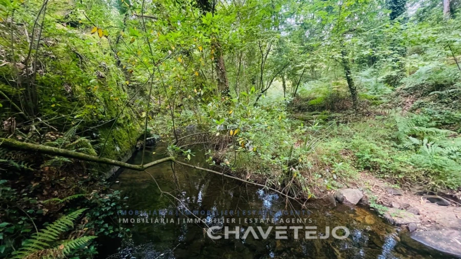Quinta para Venda em Figueiró dos Vinhos e Bairradas Foto 10