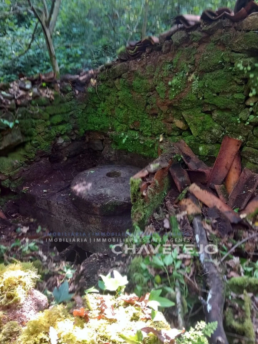 Quinta para Venda em Figueiró dos Vinhos e Bairradas Foto 15