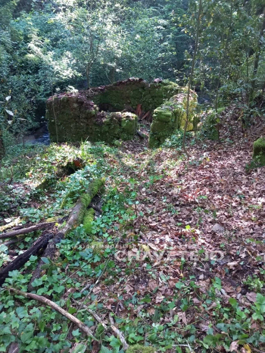 Quinta para Venda em Figueiró dos Vinhos e Bairradas Foto 20