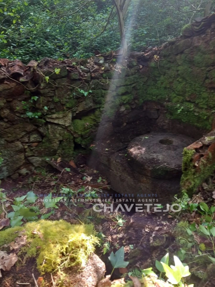 Quinta para Venda em Figueiró dos Vinhos e Bairradas Foto 24