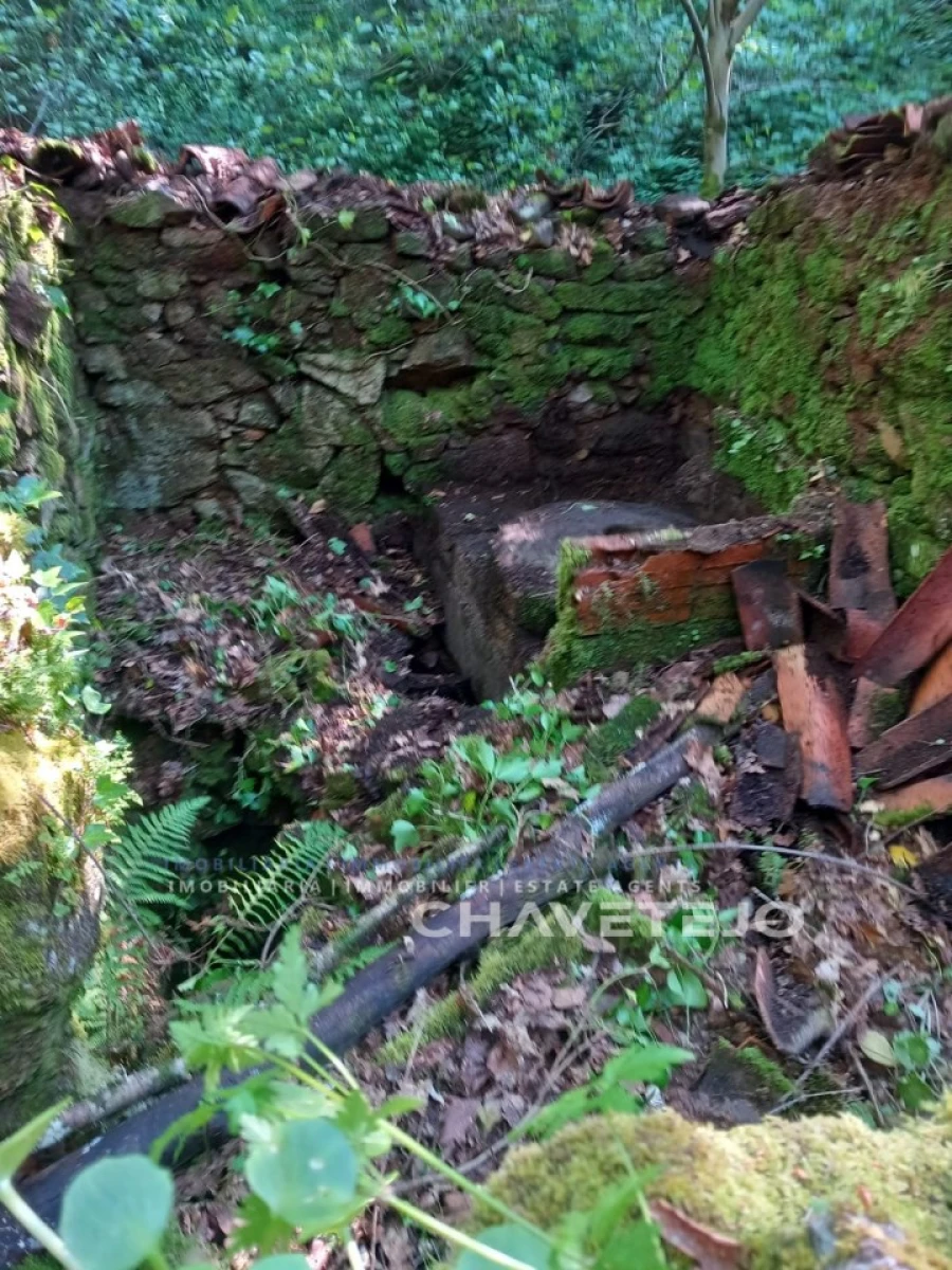 Quinta para Venda em Figueiró dos Vinhos e Bairradas Foto 25