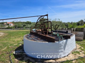 Moradia T3 para Venda em Chãos