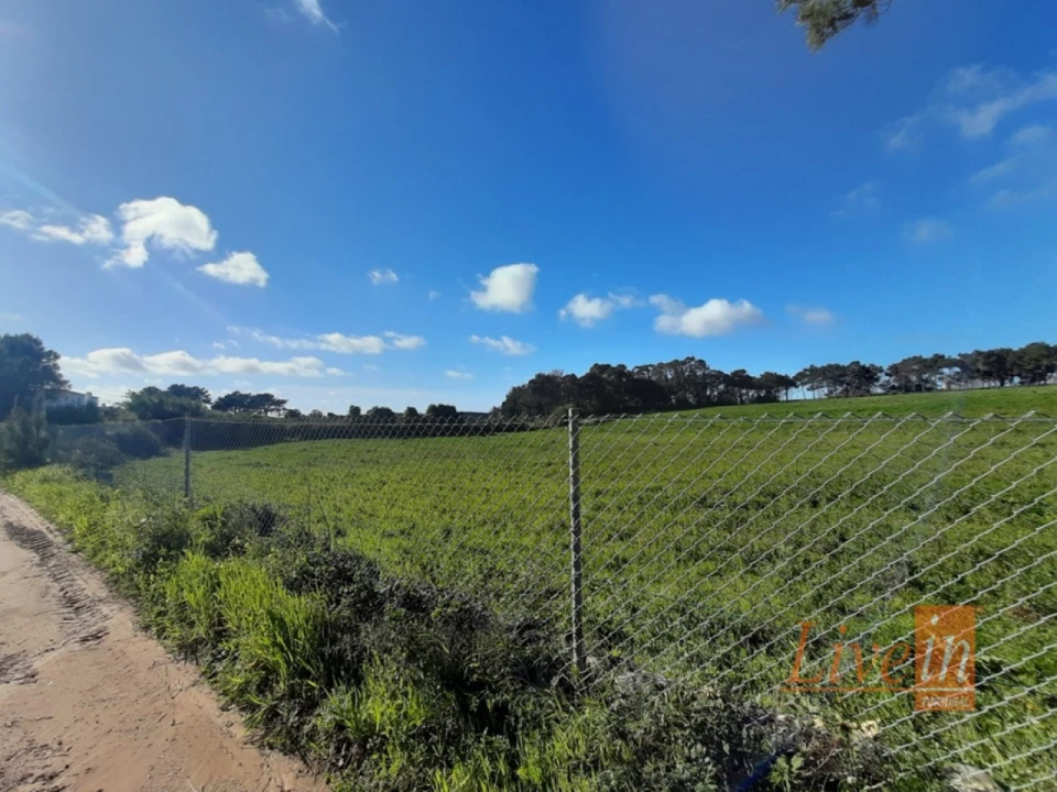 Negócio para Venda em Ericeira Foto 3