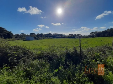 Negócio para Venda em Ericeira