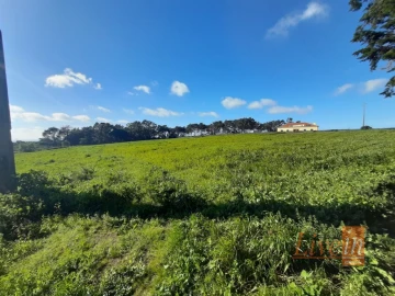 Negócio para Venda em Ericeira