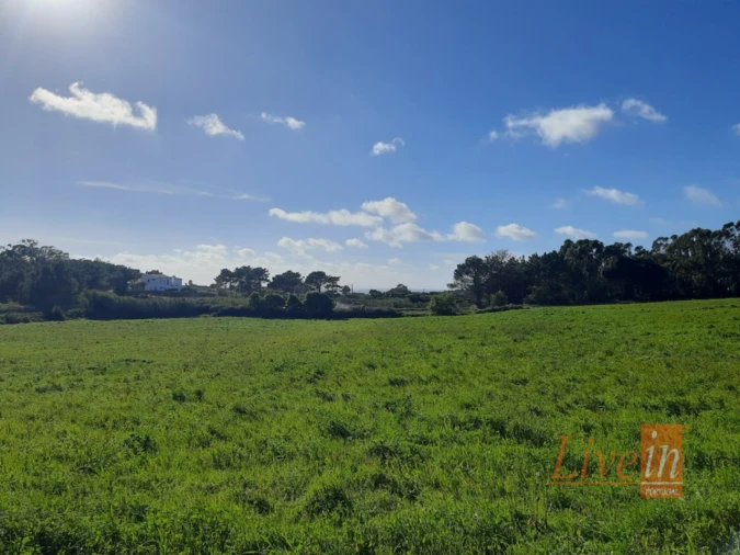 Negócio para Venda em Ericeira Foto 2