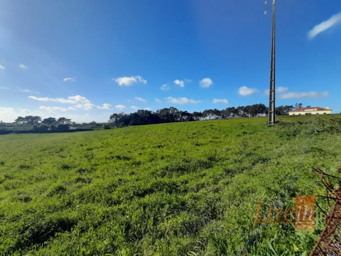 Negócio para Venda em Ericeira Foto 7