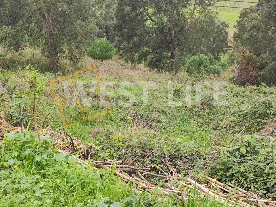 Terreno para Venda em Vilar Foto 2