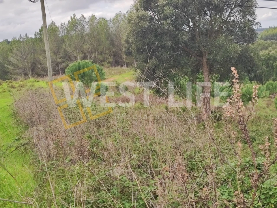 Terreno para Venda em Vilar Foto 3