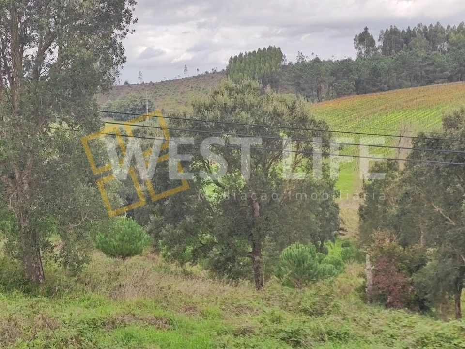 Terreno para Venda em Vilar Foto 5