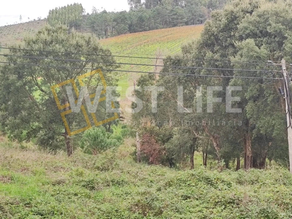 Terreno para Venda em Vilar Foto 6