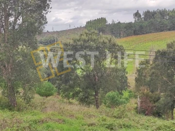 Terreno para Venda em Vilar
