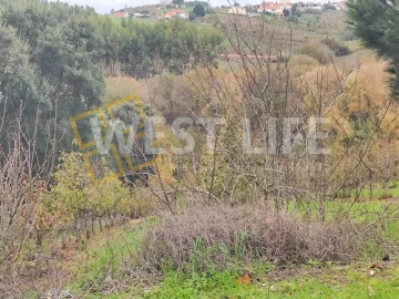 Terreno para Venda em Vilar