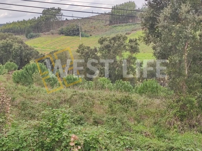 Terreno para Venda em Vilar Foto 4