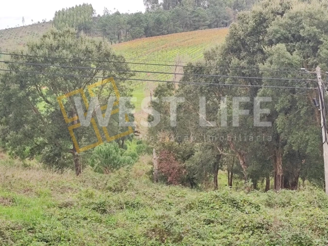 Terreno para Venda em Vilar Foto 6