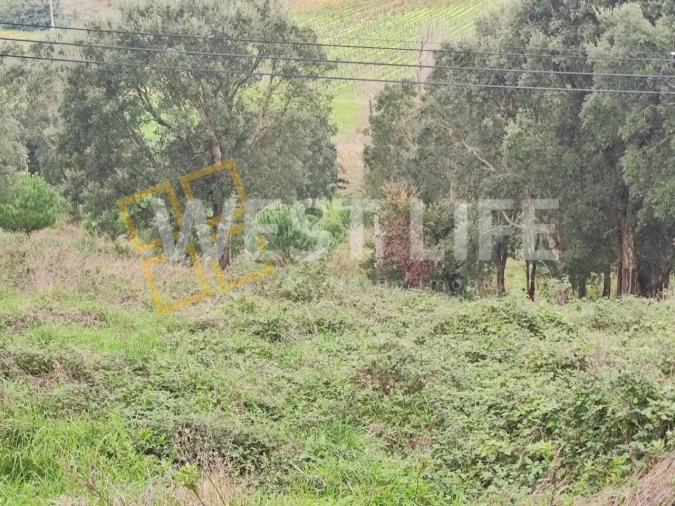 Terreno para Venda em Vilar Foto 7