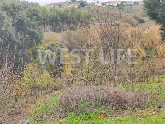 Terreno para Venda em Vilar Foto 8