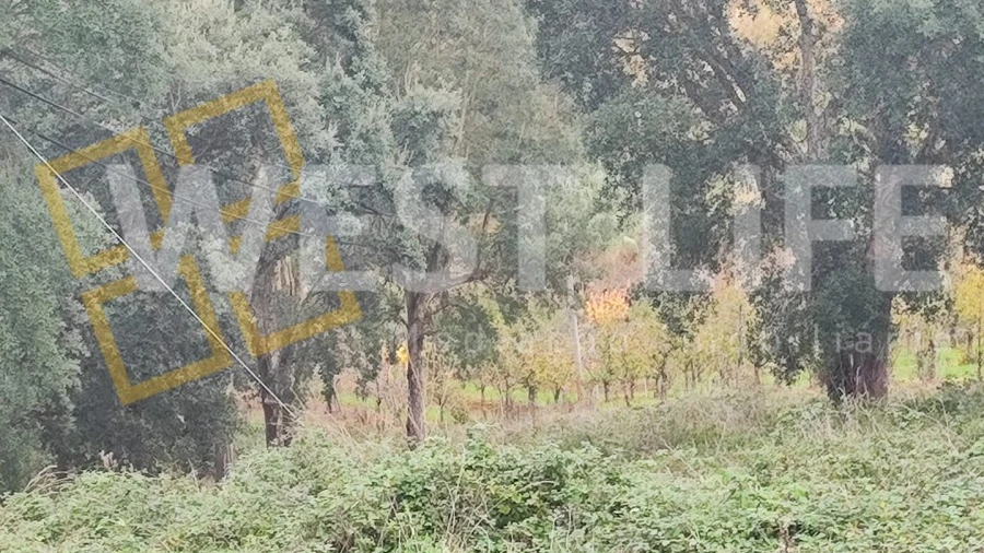 Terreno para Venda em Vilar