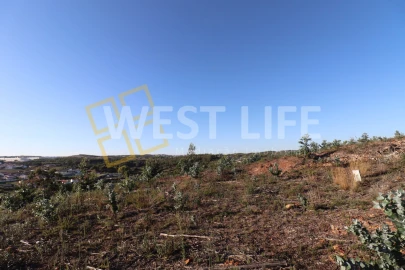 Terreno para Venda em Ponte do Rol