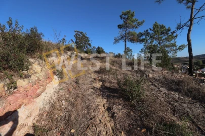 Terreno para Venda em Ponte do Rol