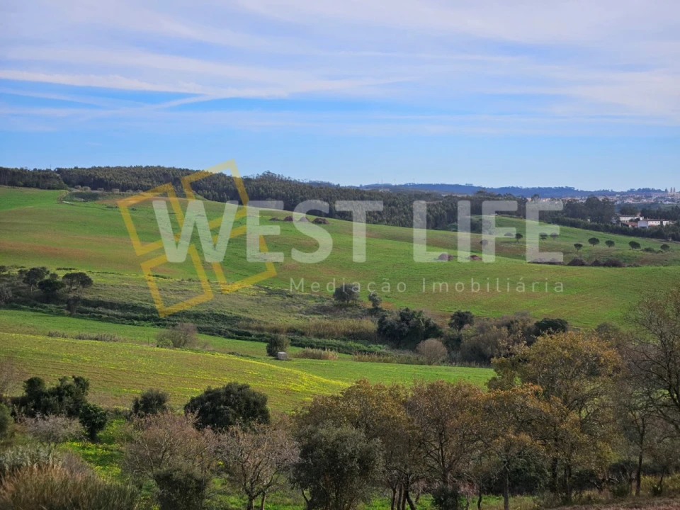Terreno para Venda em Santo Isidoro Foto 1