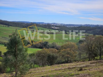 Terreno para Venda em Santo Isidoro