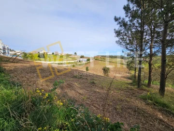 Terreno para Venda em Santo Isidoro