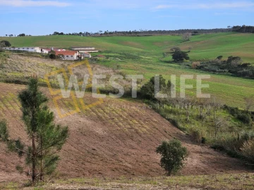 Terreno para Venda em Santo Isidoro