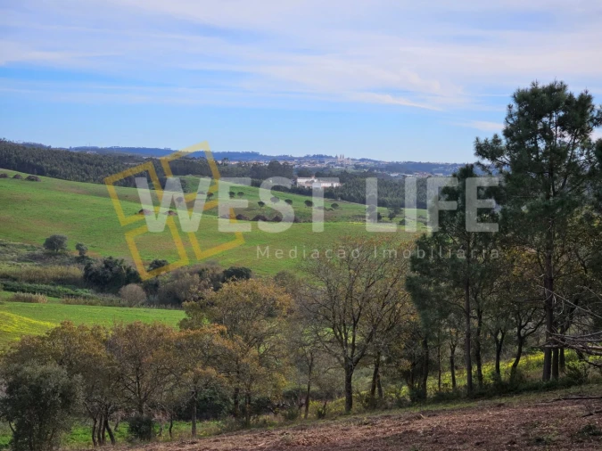 Terreno para Venda em Santo Isidoro Foto 2