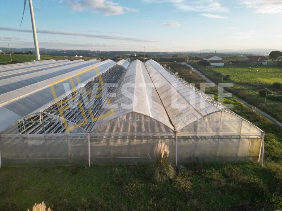 Terreno para Venda em Ericeira Foto 11