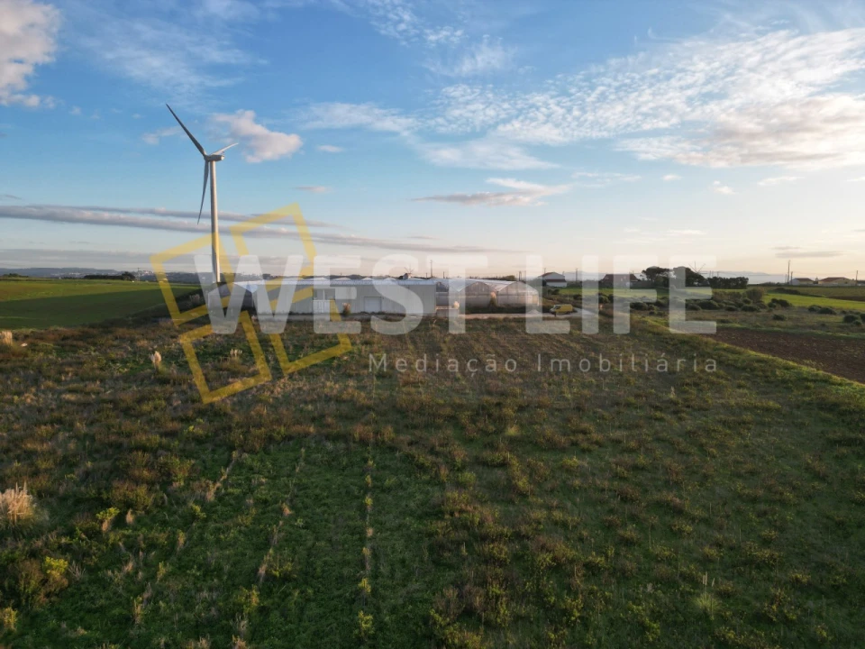 Terreno para Venda em Ericeira Foto 6