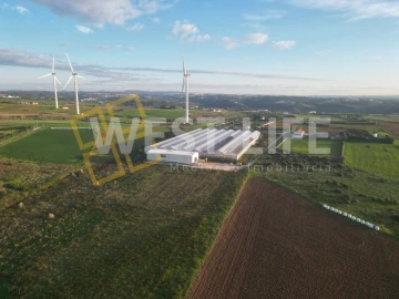 Terreno para Venda em Ericeira