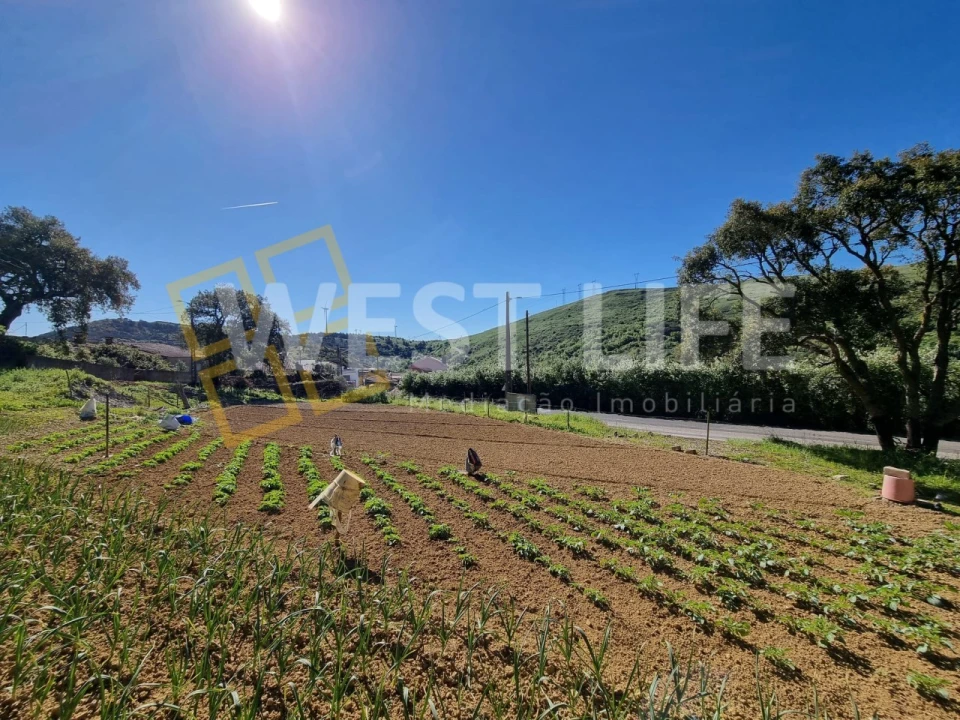Terreno para Venda em Fanhões Foto 3