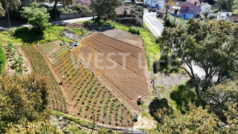Terreno para Venda em Fanhões