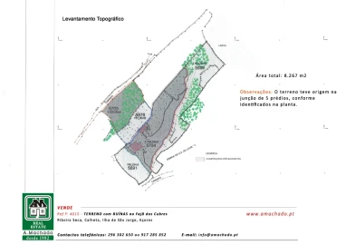 Terreno para Venda em Ribeira Seca