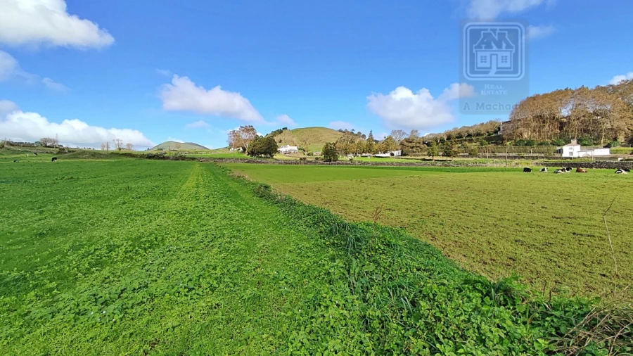 Terreno para Venda em Ponta Delgada (São Sebastião) Foto 15