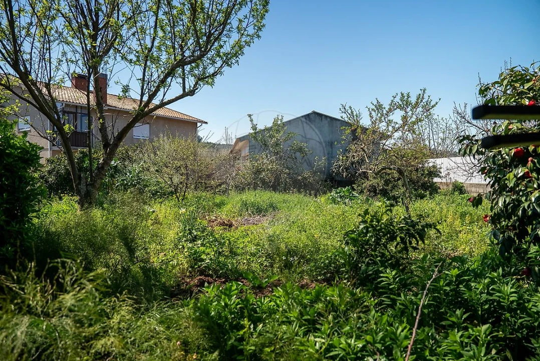 Moradia T3 para Venda em Valongo do Vouga Foto 24