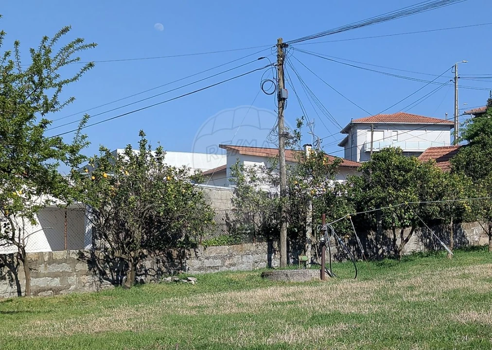 Terreno para Venda em São Tomé de Negrelos Foto 1