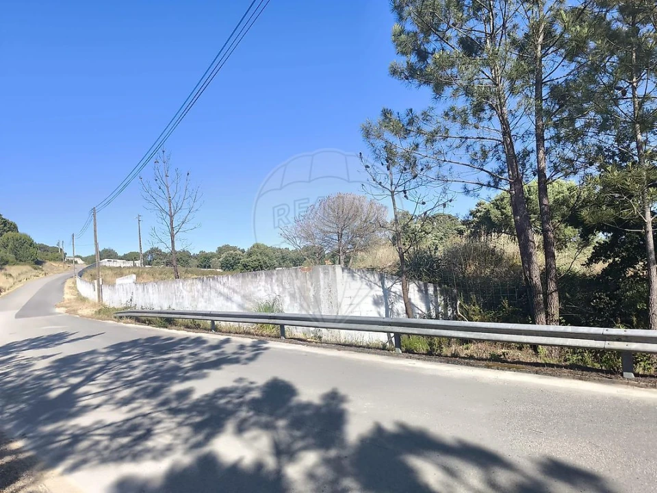 Terreno para Venda em São João da Ribeira e Ribeira de São João Foto 28