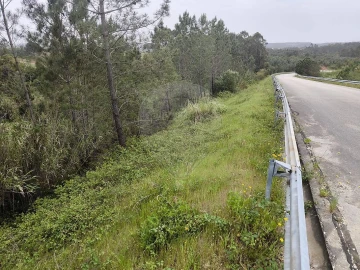 Terreno para Venda em São João da Ribeira e Ribeira de São João