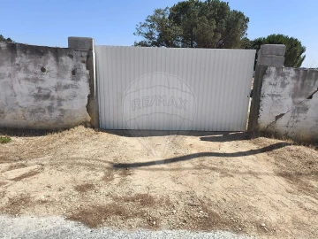 Terreno para Venda em São João da Ribeira e Ribeira de São João