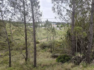 Terreno para Venda em São João da Ribeira e Ribeira de São João