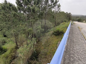 Terreno para Venda em São João da Ribeira e Ribeira de São João
